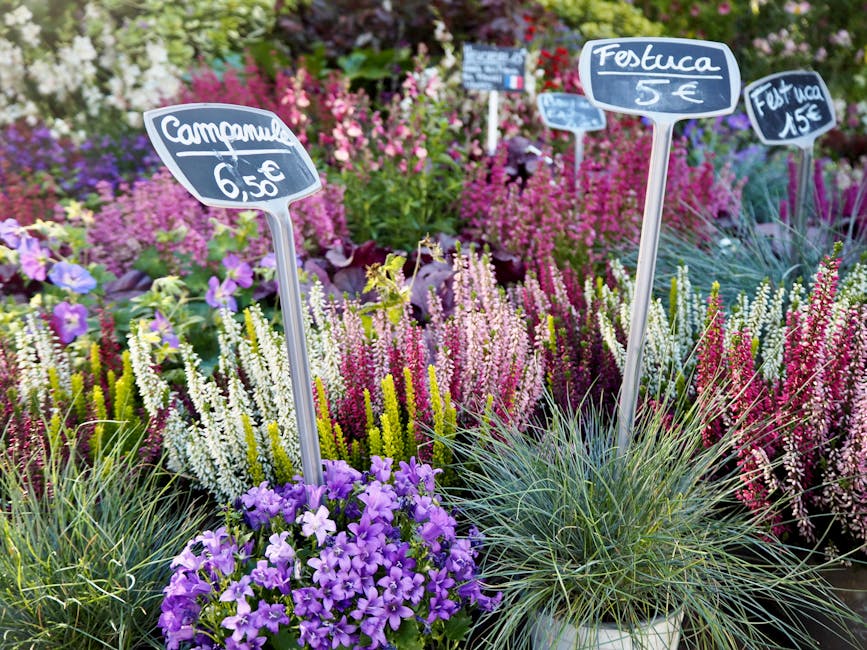 A vibrant display of potted flowering plants at a garden centre, featuring purple, pink, white, and yellow blooms including petunias and heathers. The plants are arranged in containers, with some plac