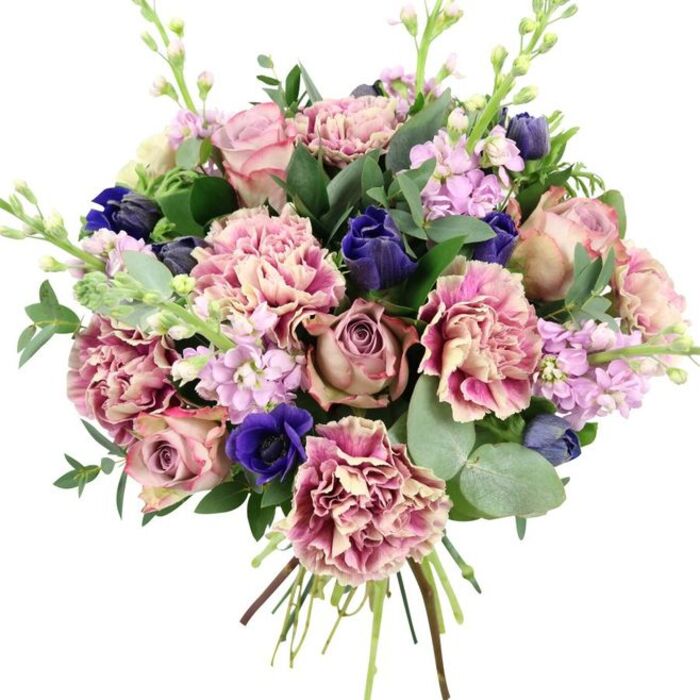 This hand-tied bouquet, presented against a pure white background, feels like a breath of refined colour drawn from the heart of Kennington. At its center, several large garden roses unfurl in soft gradients of blush pink, dusty mauve, and antique rose, each layered petal contributing to a gently domed, romantic silhouette. Interlaced with them are ruffled carnations, their petals forming intricate, frilly layers that transition from creamy, almost porcelain centers to deeper rose and vibrant fuchsia edges, adding volume and a velvety texture. Punctuating the warm pink palette are bold, cool-toned accents: deep indigo buds that resemble tulips just before they open, and a prominent royal blue anemone with a nearly black heart, placed near the lower front of the design so it draws the eye immediately. Slender stems of pale lavender and lilac stock weave upward through the composition, their clusters of small, delicate blooms creating gentle lines of vertical movement and an impression of lightness. Surrounding the blooms, lush greenery fans outward-dark, glossy leaves and soft, rounded eucalyptus in silvery green tones that catch the light much like foliage along the pathways of Kennington Park in early spring. The stems are clearly visible and neatly tied at the base, emphasizing that this is a freshly prepared, hand-crafted bouquet ready to be carried away or delivered to a doorstep in SE11. The overall effect is elegant and quietly joyful, perfect for marking an anniversary, offering congratulations around Elephant and Castle, or sending a refined sympathy tribute that speaks through colour and texture rather than words.